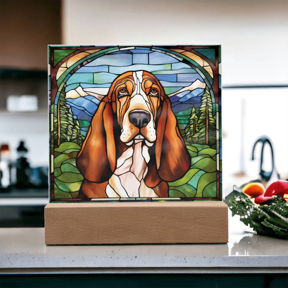 Basset Hound Acrylic Plaque