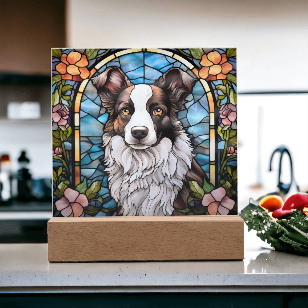 Border Collie Acrylic Plaque