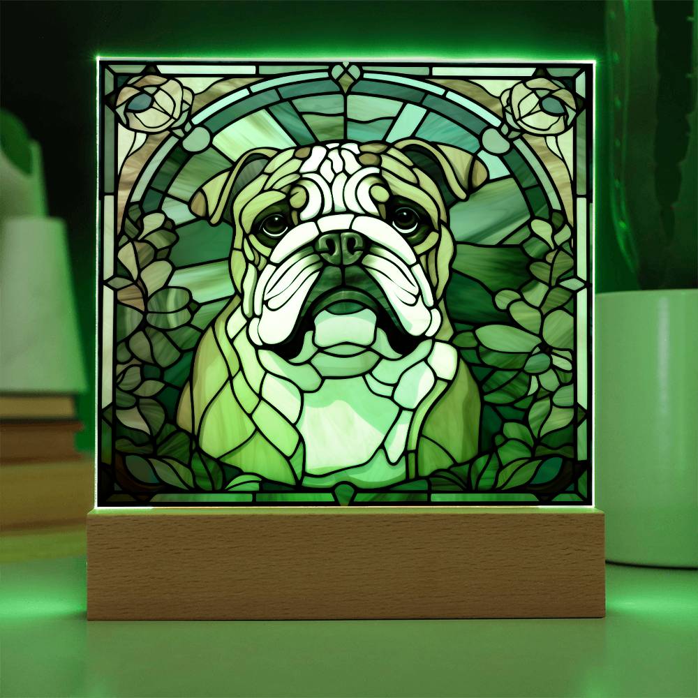 Bulldog Acrylic Square Plaque