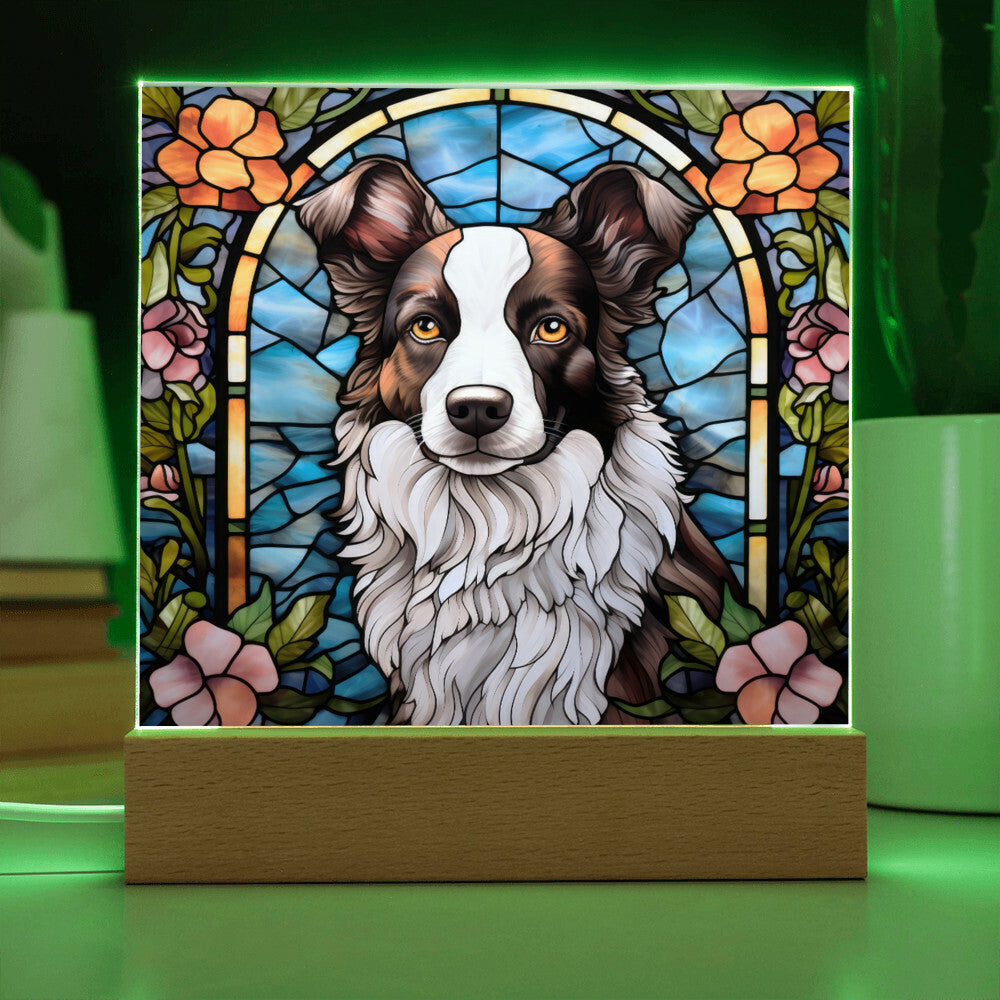 Border Collie Acrylic Plaque