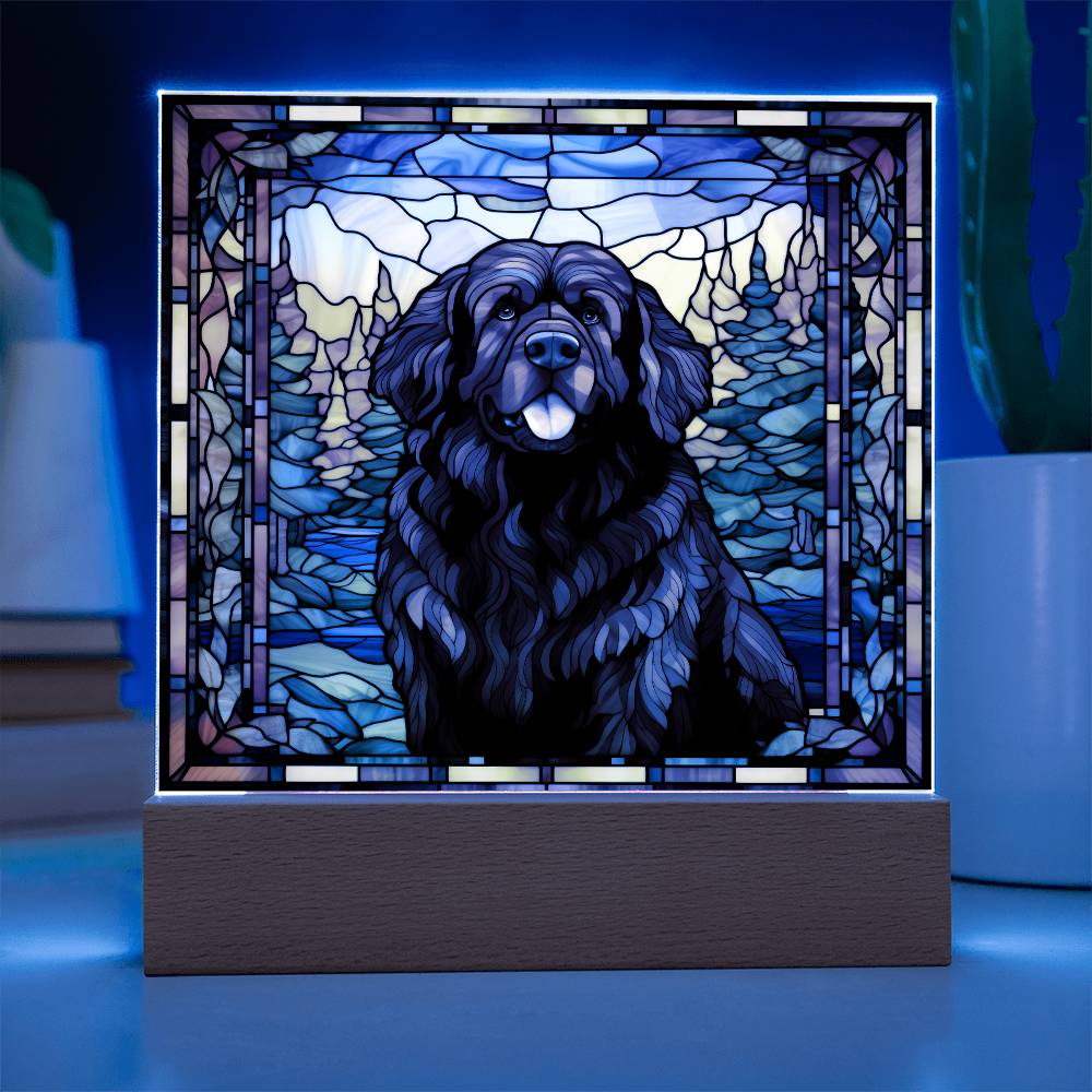 Newfoundland Dog Acrylic Plaque