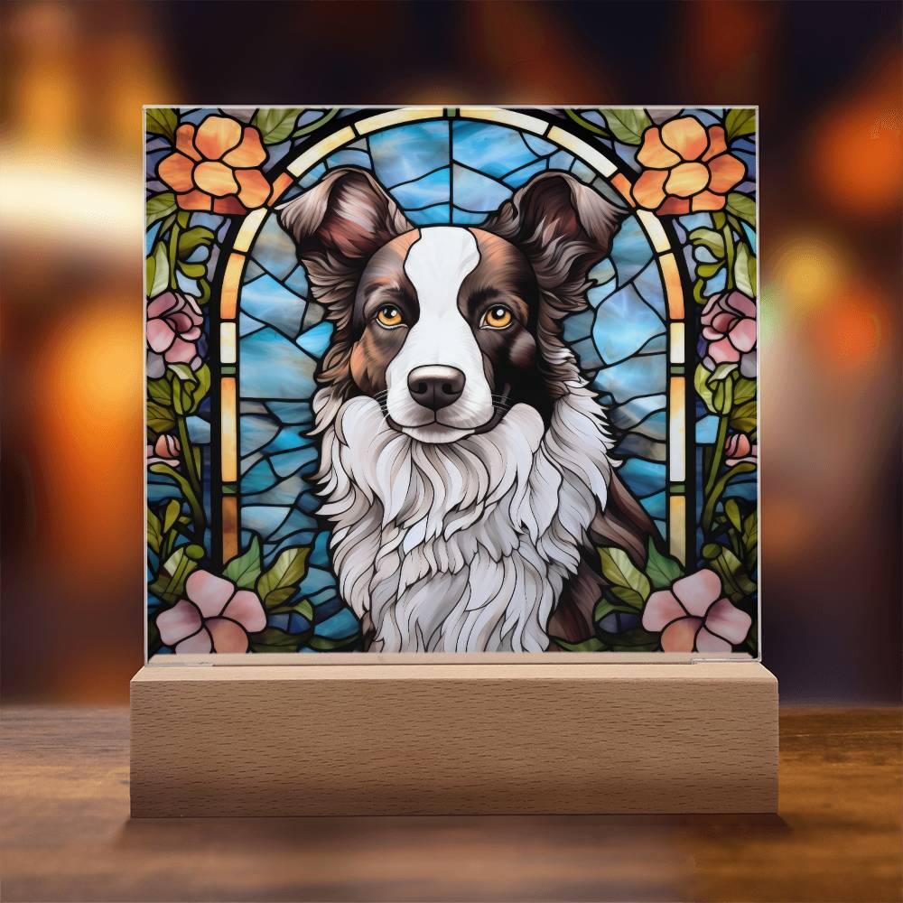 Border Collie Acrylic Plaque