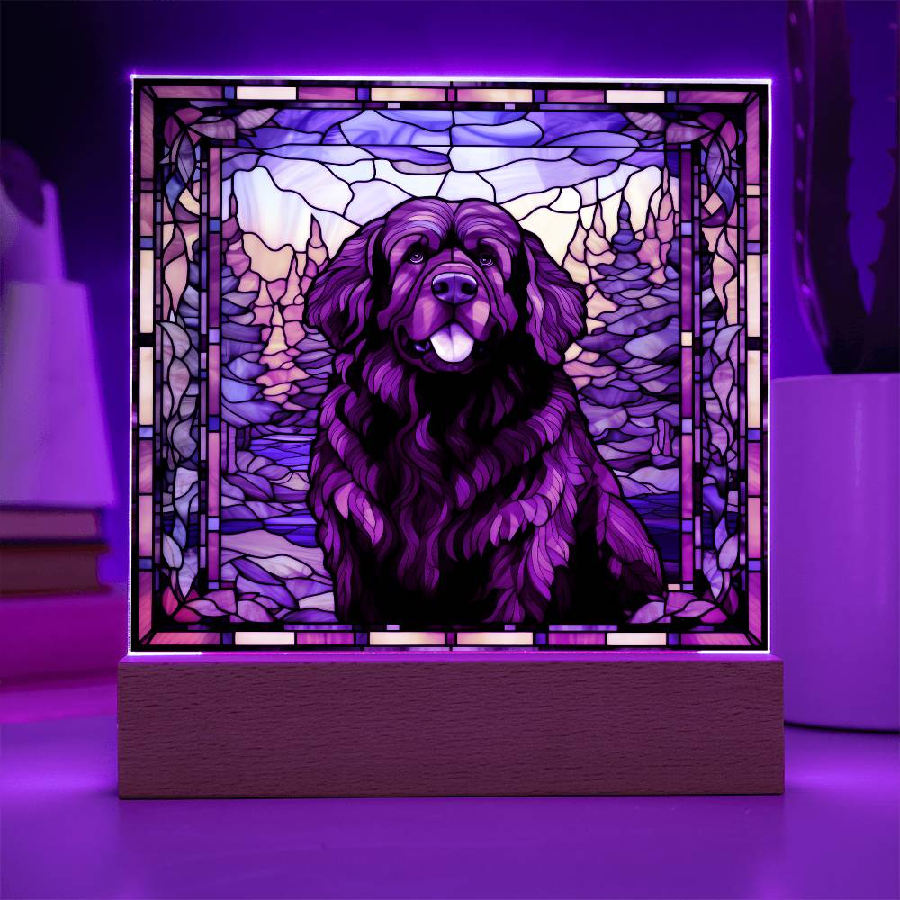 Newfoundland Dog Acrylic Plaque