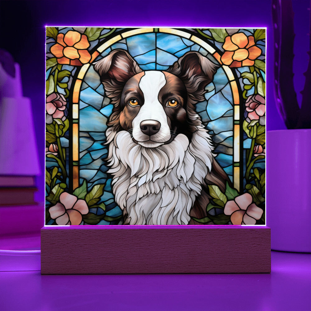 Border Collie Acrylic Plaque