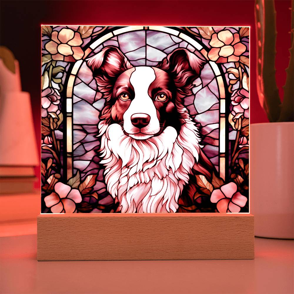 Border Collie Acrylic Plaque