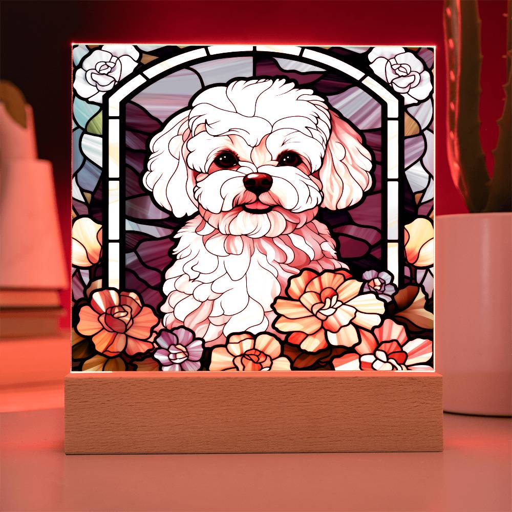 Maltipoo Dog Acrylic  Square Plaque, Pet Memorial