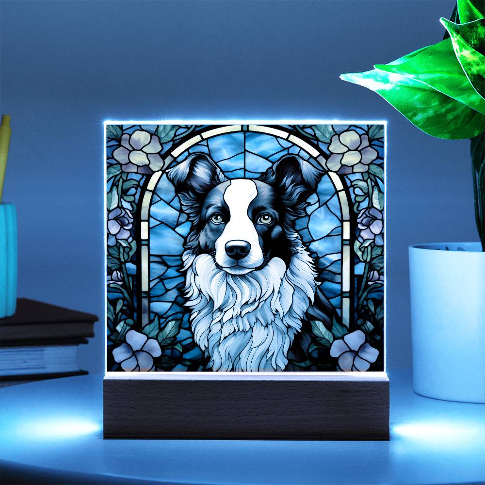 Border Collie Acrylic Plaque