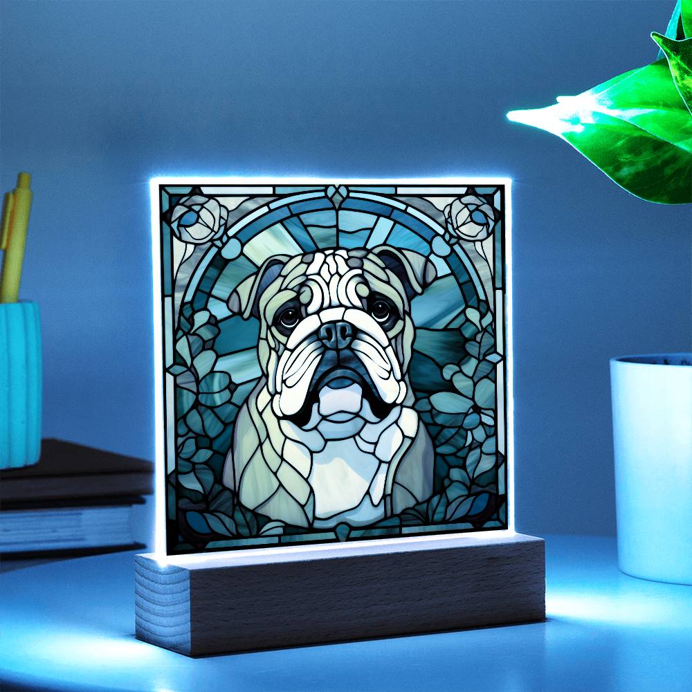 Bulldog Acrylic Square Plaque