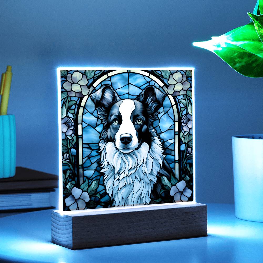 Border Collie Acrylic Plaque